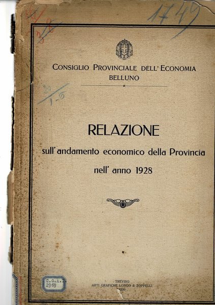 Relazione sull'andamento economico della provincia di (Belluno) nell'anno 1928.