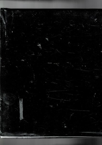 The Autobiography of a Snake, drawings by Andy Warhol.