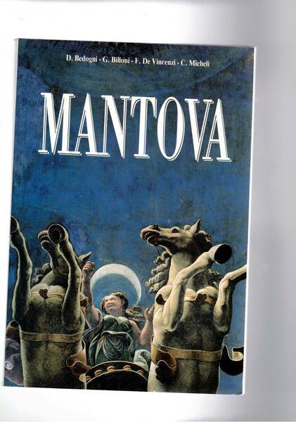 Libroguida di Mantova.