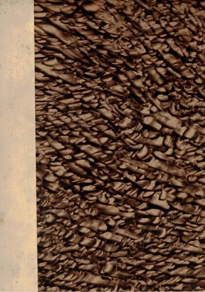 Esteri, quindicinale di politica estera. Disponiamo delo primo semestre della …