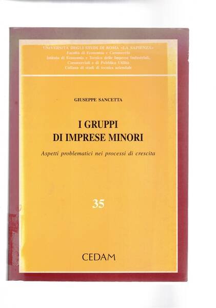 I gruppi di imprese minori. Aspetti problematici nei processi di …