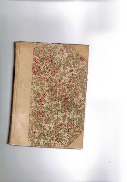 Little Novel of Italy. | Immagine principale