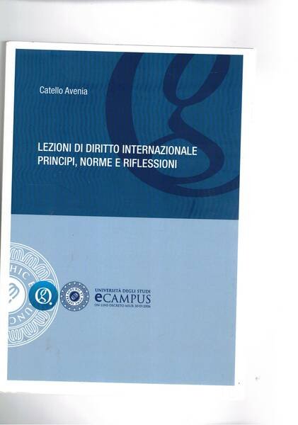 Lezioni di diritto internazionale principi, norme e riflesioni.