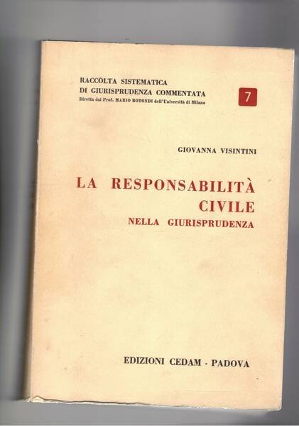La responsabilità civile nella giurisprudenza.
