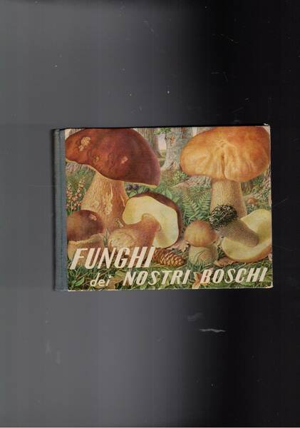 Funghi dei nostri boschi.