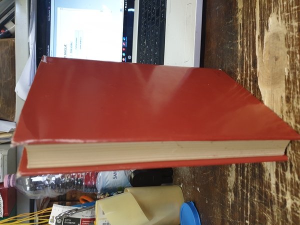 I ponti di Roma; storie e aneddoti, arte e folklore …