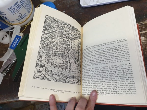 I ponti di Roma; storie e aneddoti, arte e folklore …