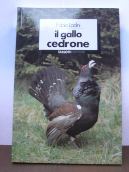 Il gallo cedrone.