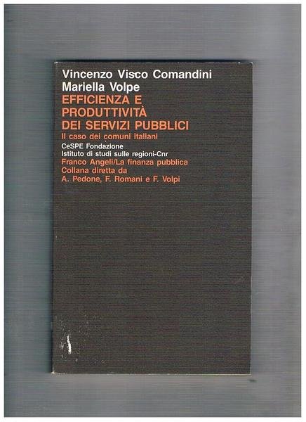 Efficienza e produttività dei servizi pubblici, il caso dei comuni …