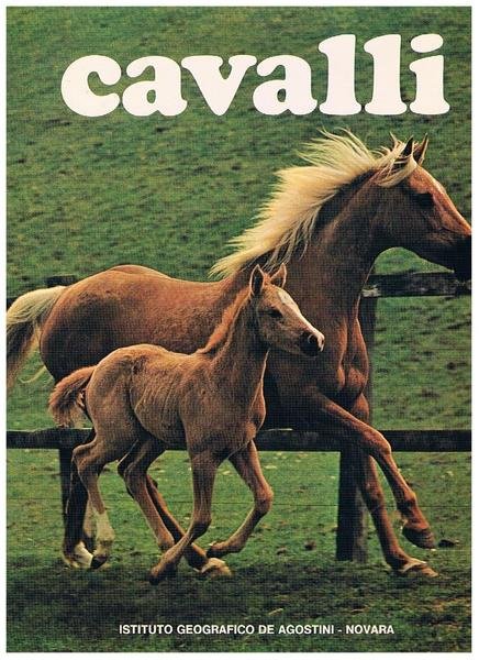 Cavalli.