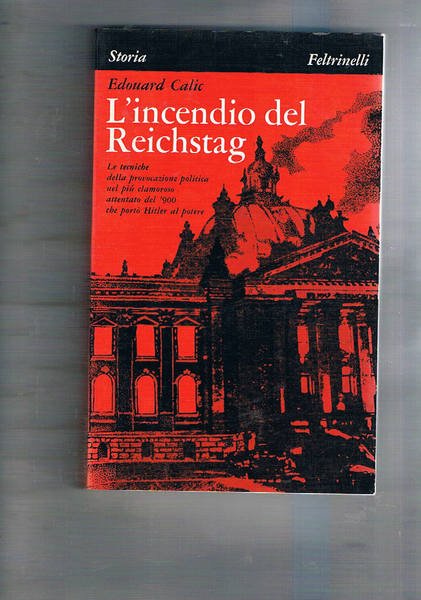 L'incendio del Reichstag. L'attentato che portò Hitler al potere.