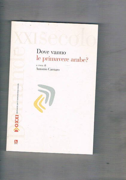 Dove vanno le primavere arabe?