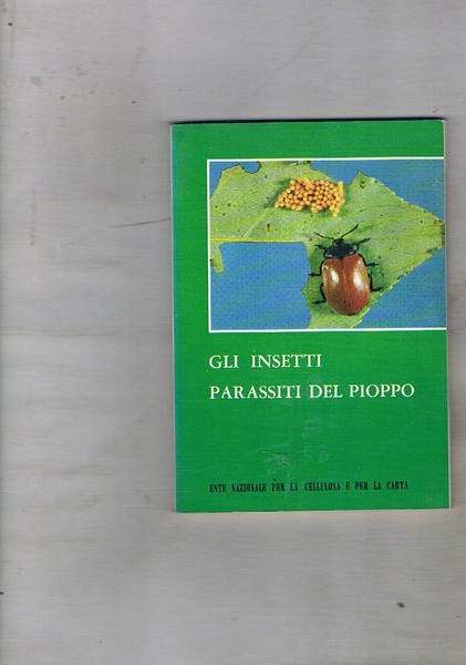 Gli insetti parassiti del pioppo.