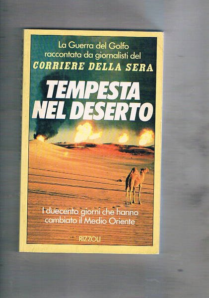 Tempesta nel deserto. I duecento giorni che hanno cambiato il …