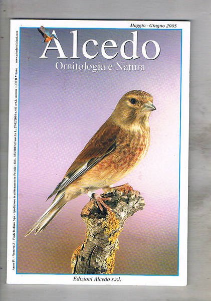 Alcedo ornitologia e natura. Rivista bimestrale di ornitocoltura, ornitologia, ornitofilia …