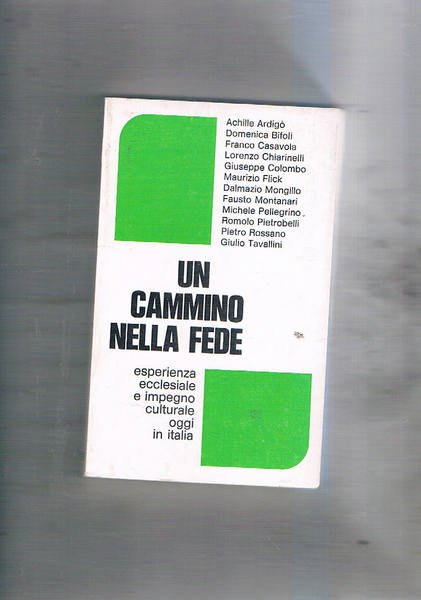 Un cammino nella fede. Esperienza ecclesiale e impegno culturale oggi.