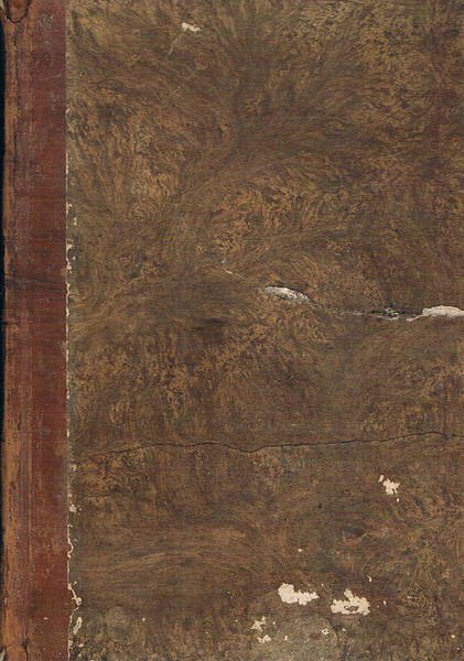 Bollettino delle leggi e degli atti ufficiali delle provincie venete …