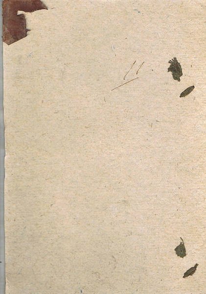 Bollettino delle leggi e degli atti del governo della Venezia …