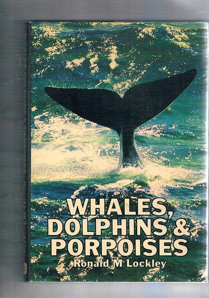 Whales, Dolphins & Porpoises.