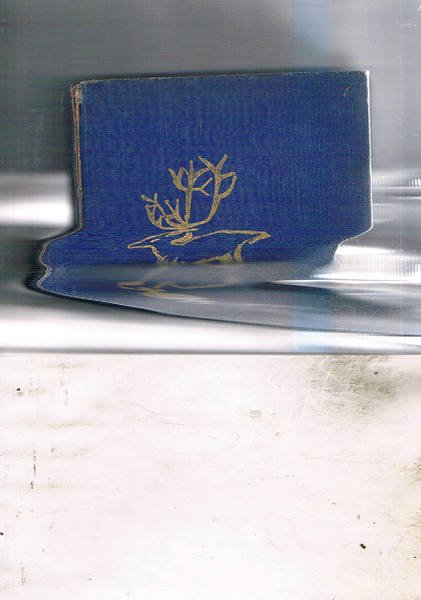 Inuk, quindici anni ai margini della terra.