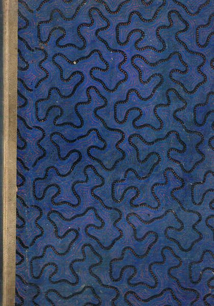 Album della esposizone universale di Filadelfia. Illustrato da 108 incisioni.