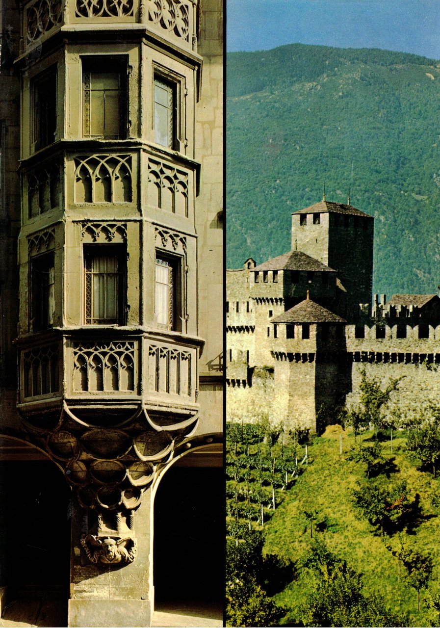 La casa svizzera. Torri e castelli, case e palazzi.