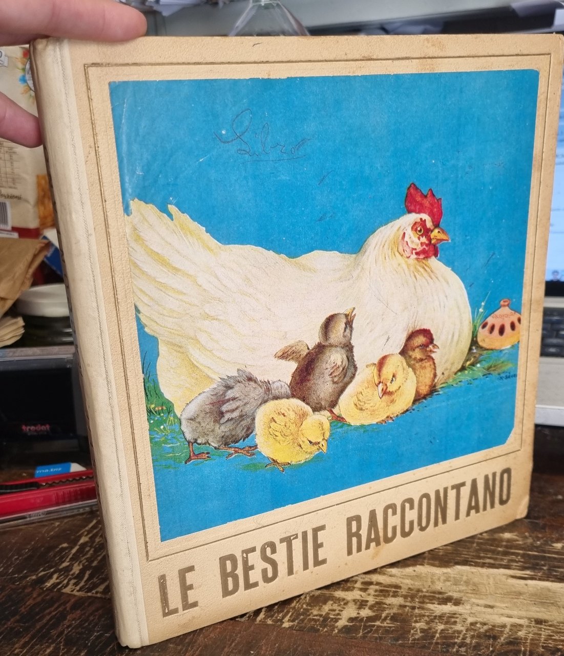 Le bestie raccontano. Dieci racconti di animali differenti. | Immagine principale