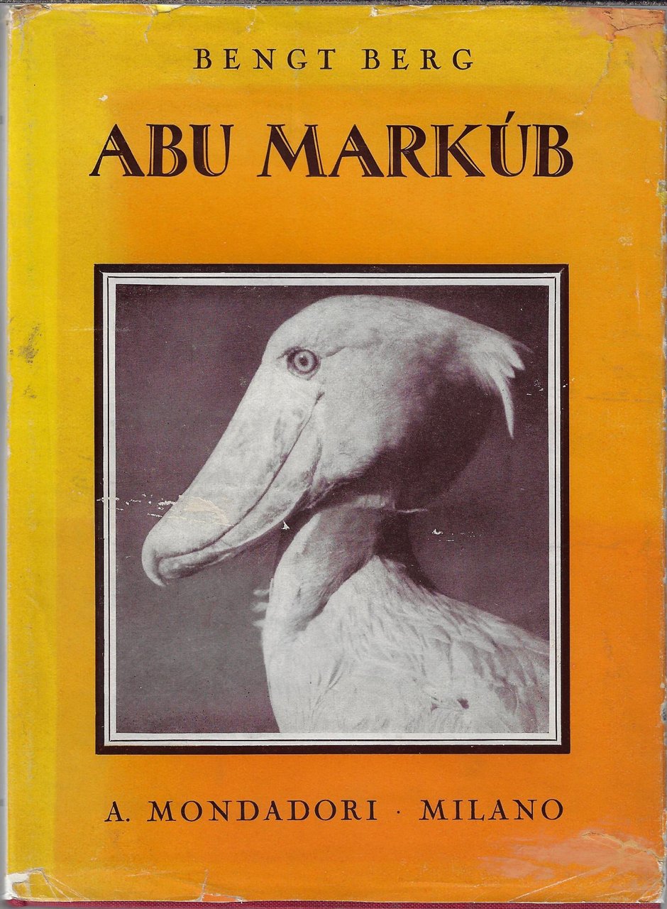 Abu Markub : con la macchina da presa tra elefanti …