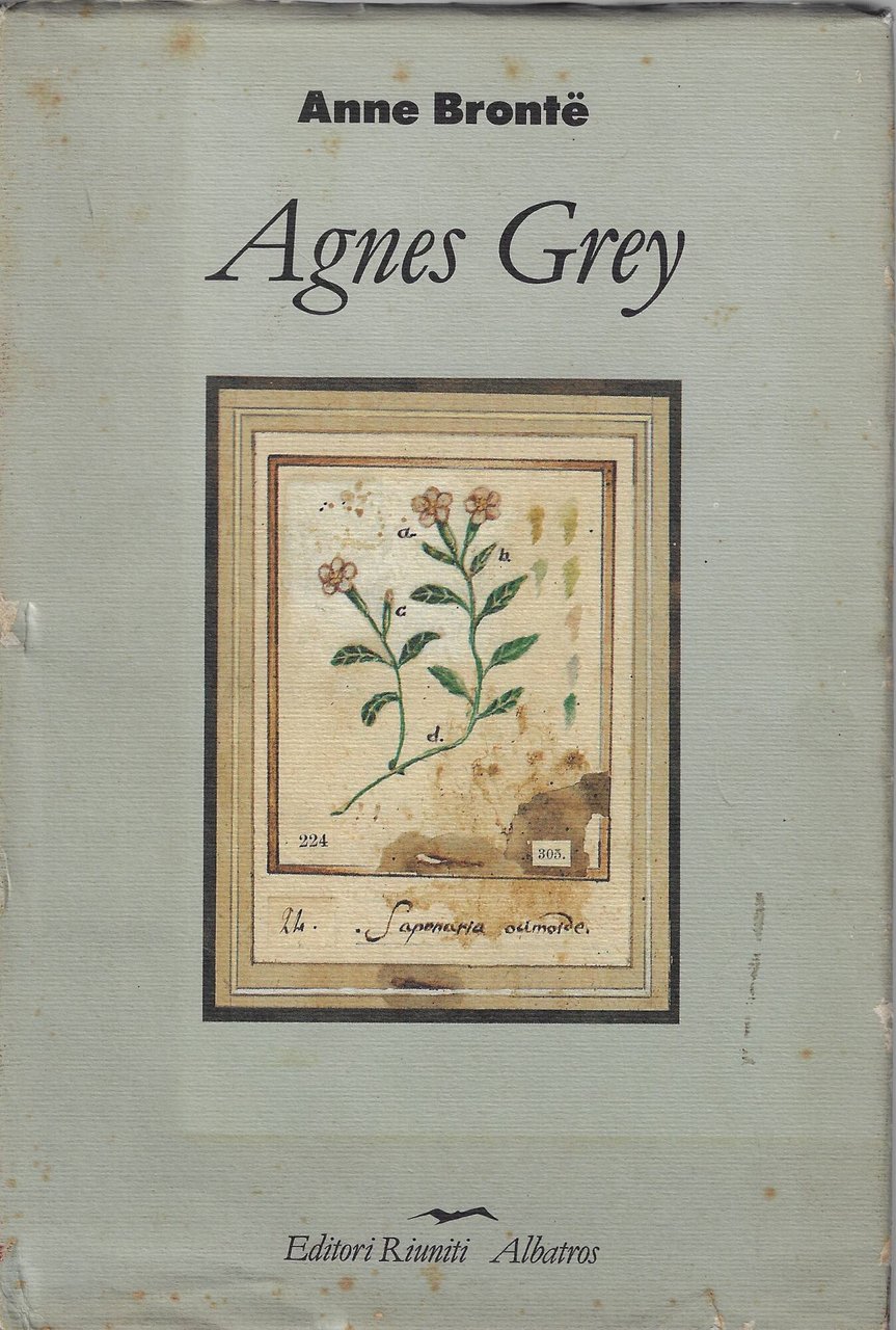 Agnes Grey