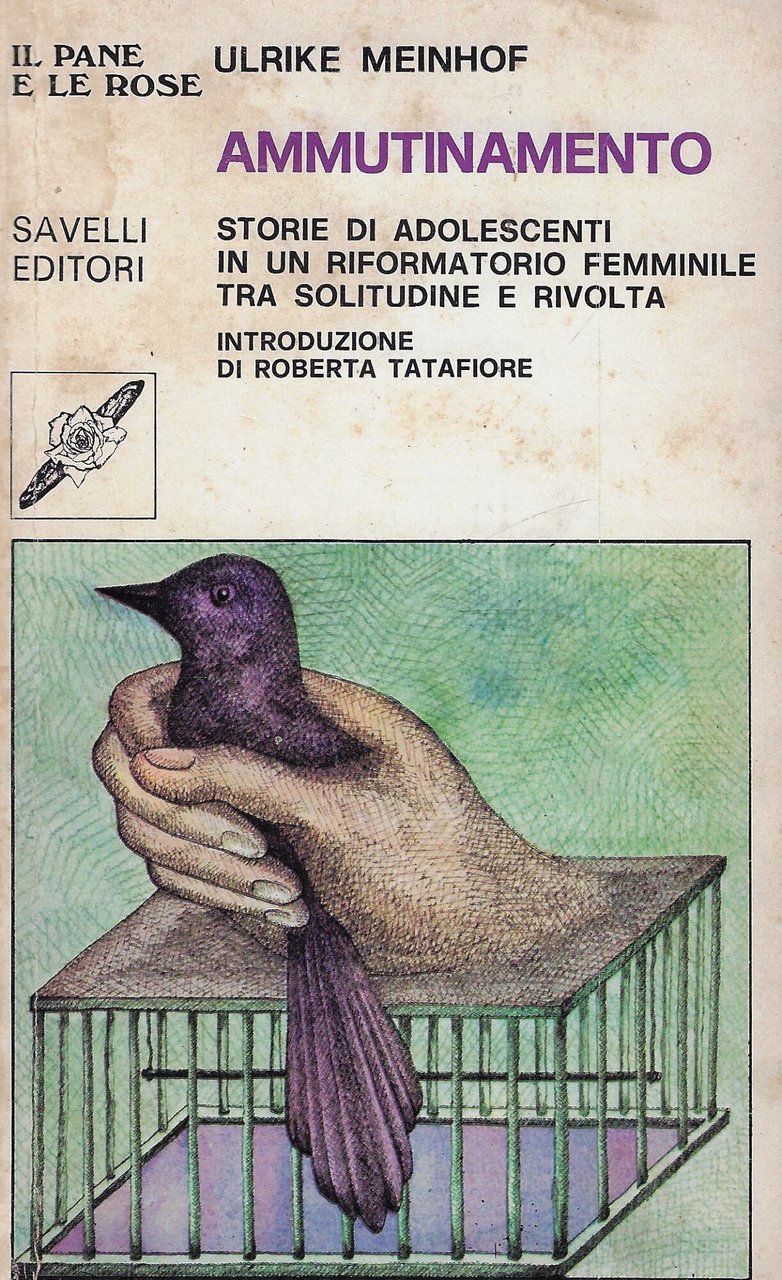 Ammutinamento : storie di adolescenti in un riformatorio femminile tra …