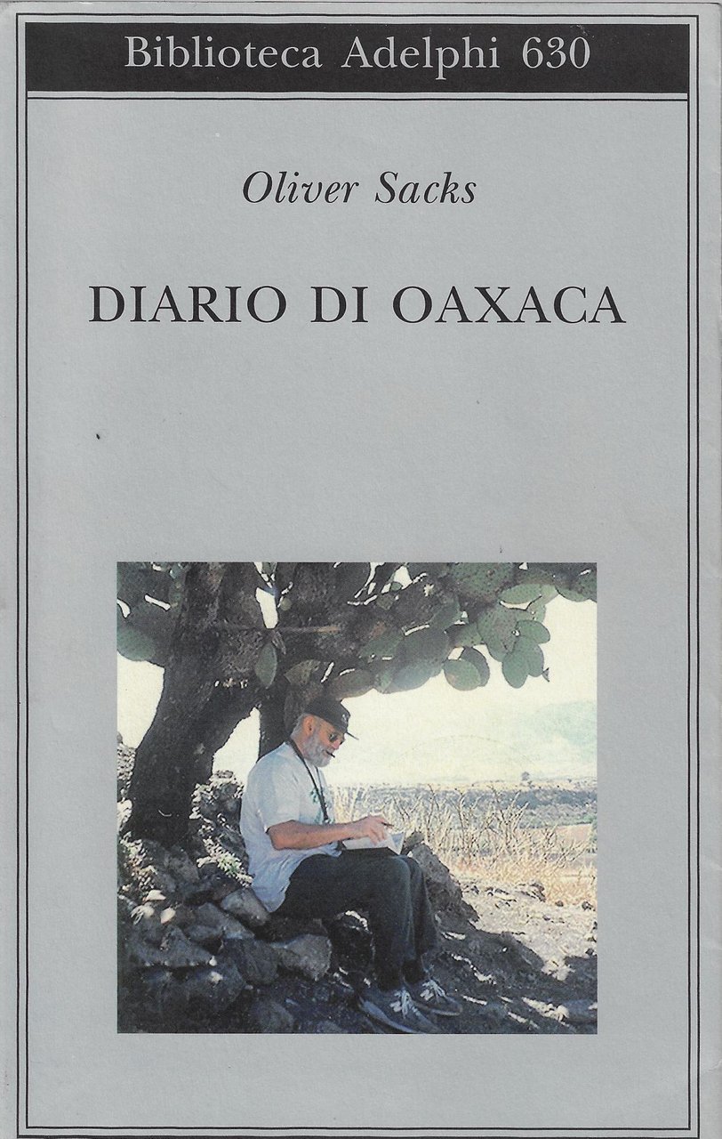Diario di Oaxaca
