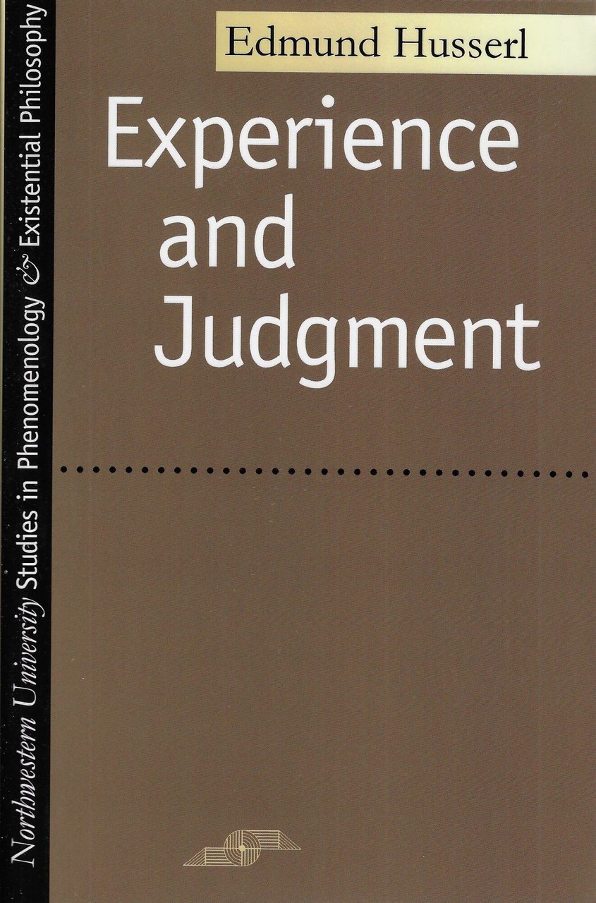 Experience and Judgement | Immagine principale