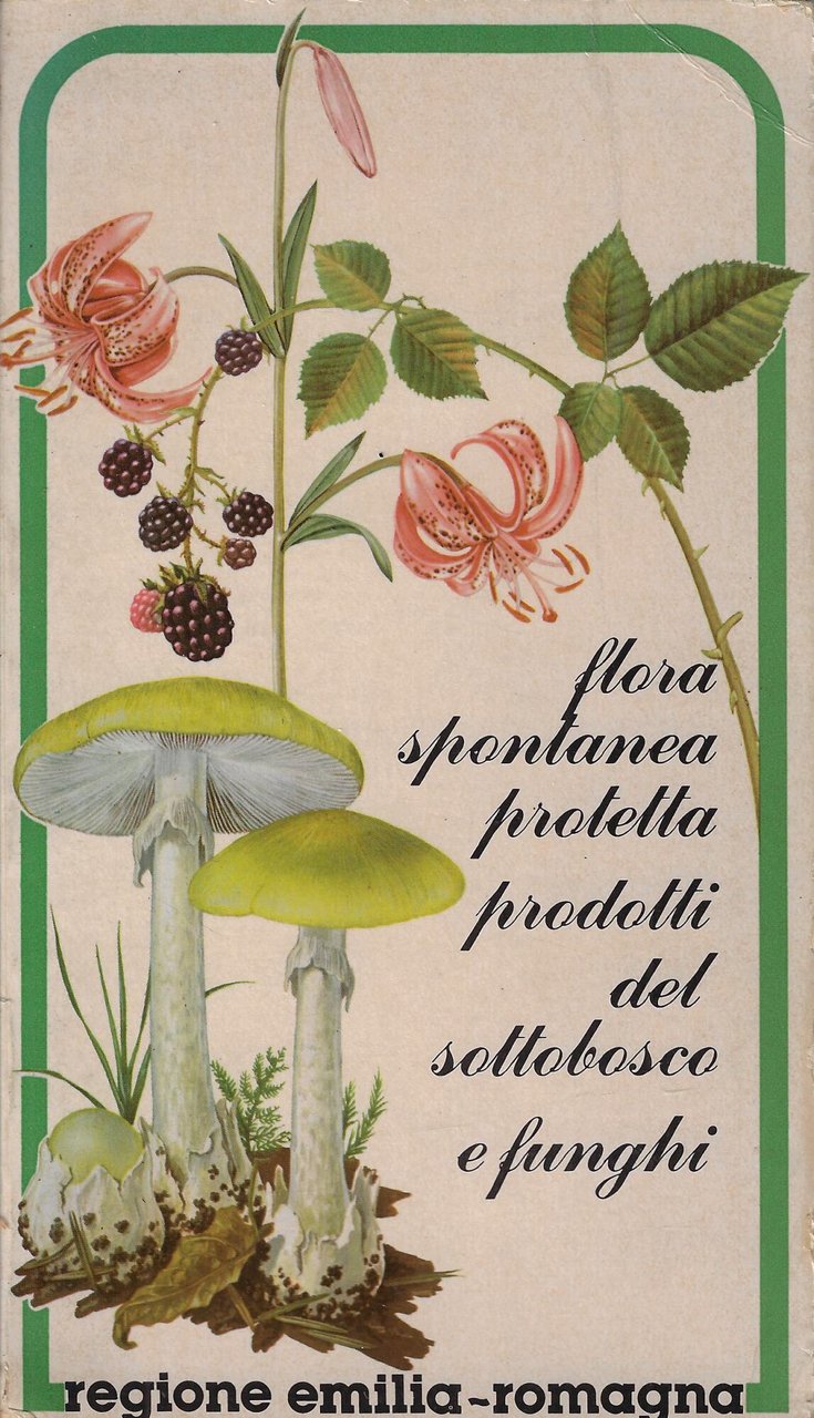 Flora spontanea protetta, prodotti del sottobosco e funghi
