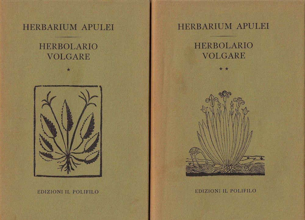 Herbarium Apulei, 1481 . Herbolario volgare, 1522