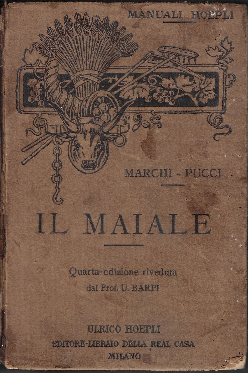 Il maiale | Immagine principale