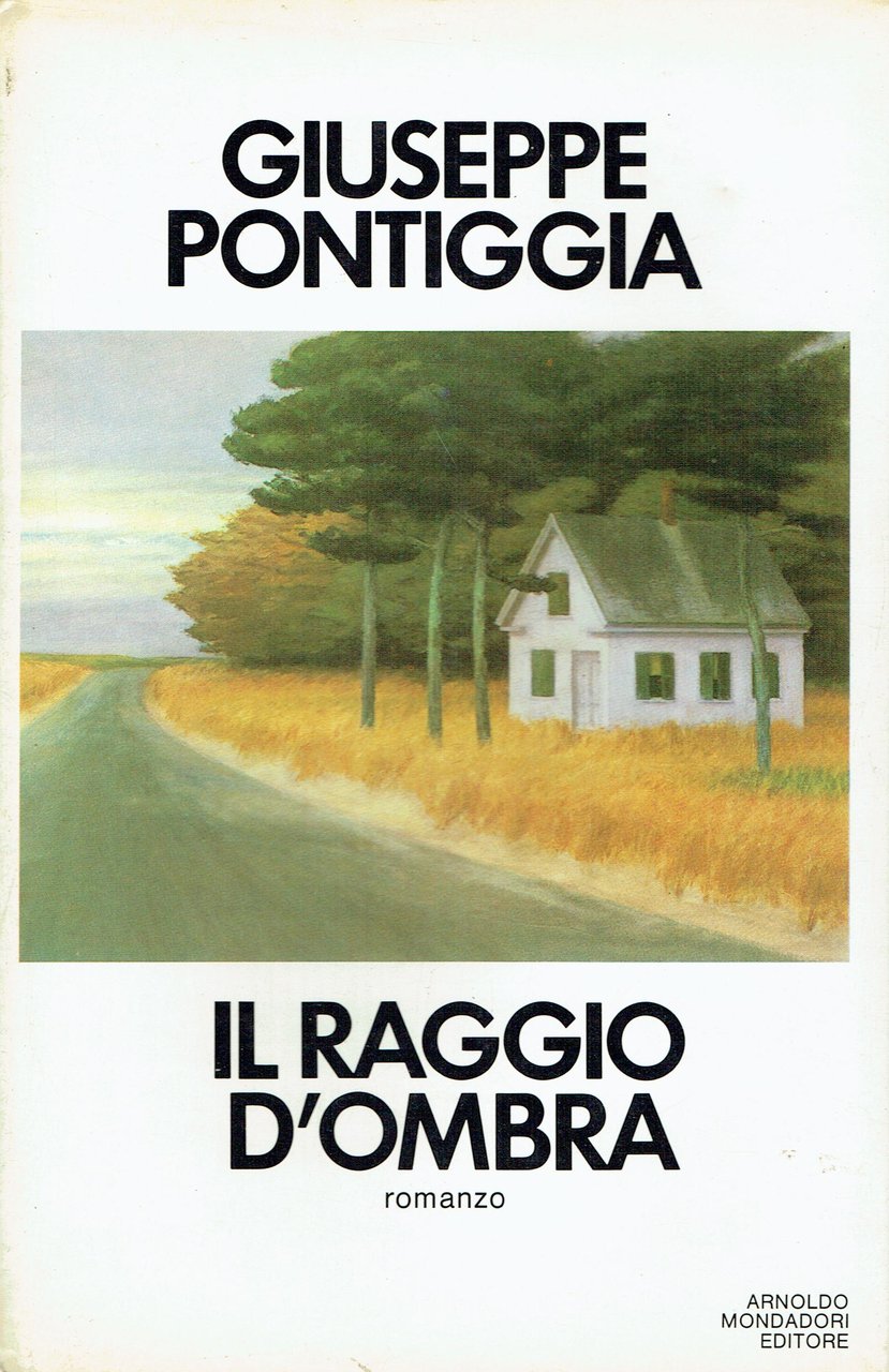 Il raggio d'ombra : romanzo