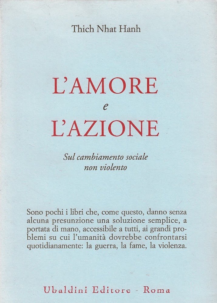 L'amore e l'azione. Sul cambiamento sociale non violento