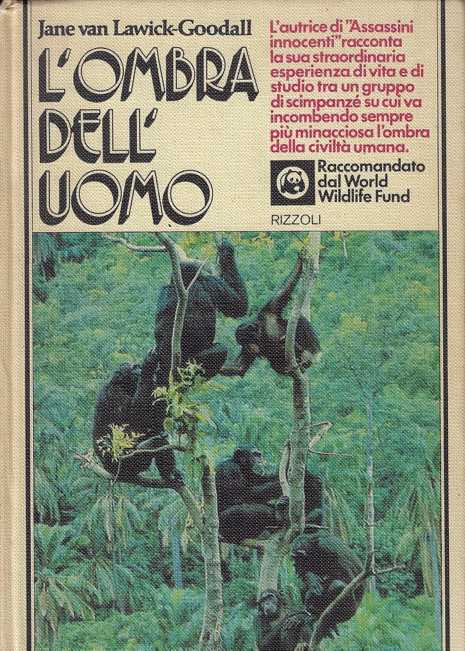 L'ombra dell'uomo