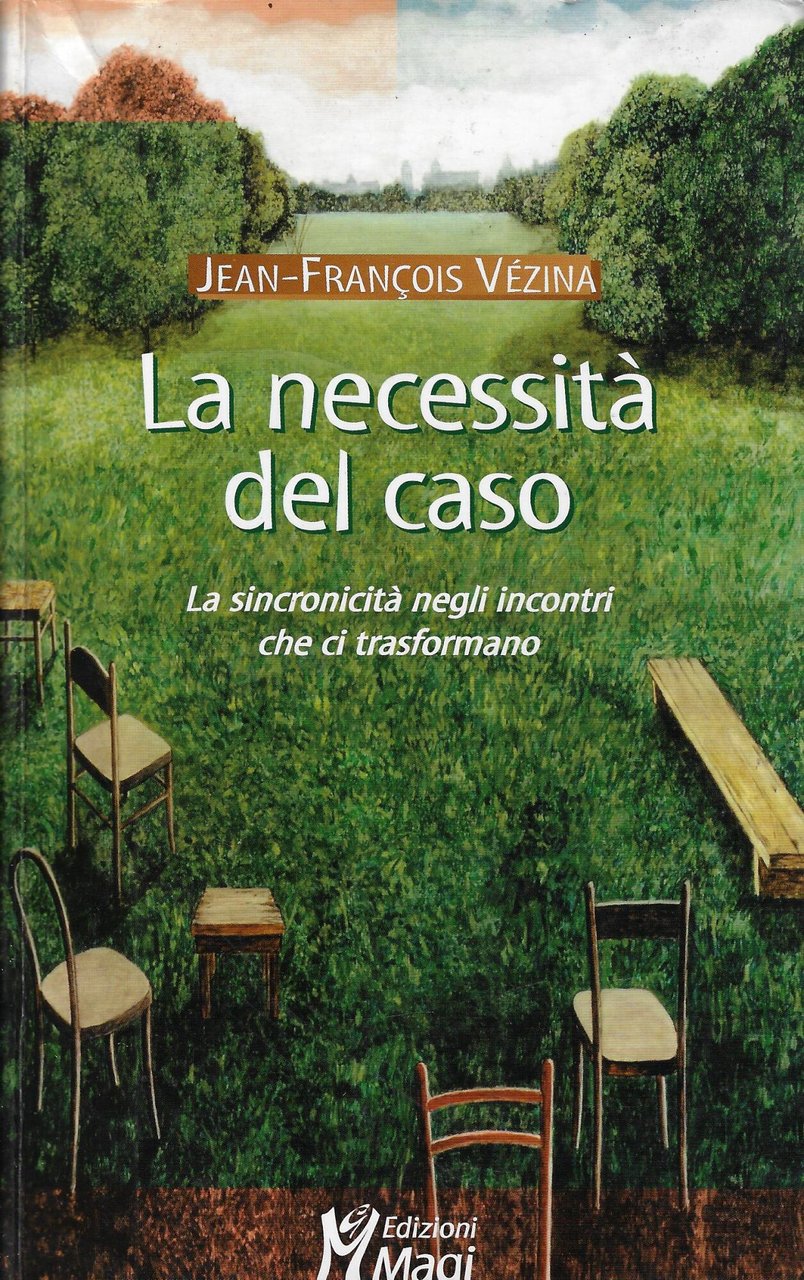 La necessità del caso. La sincronicità negli incontri che ci … | Immagine principale