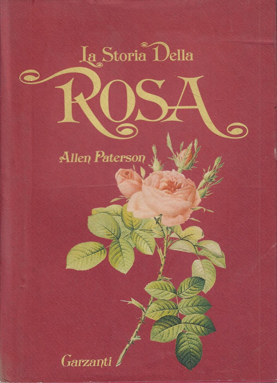La storia della rosa | Immagine principale