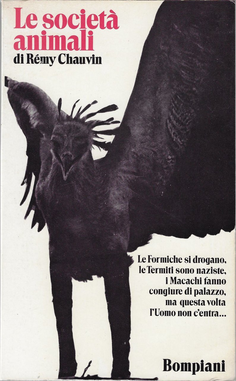 Le società animali