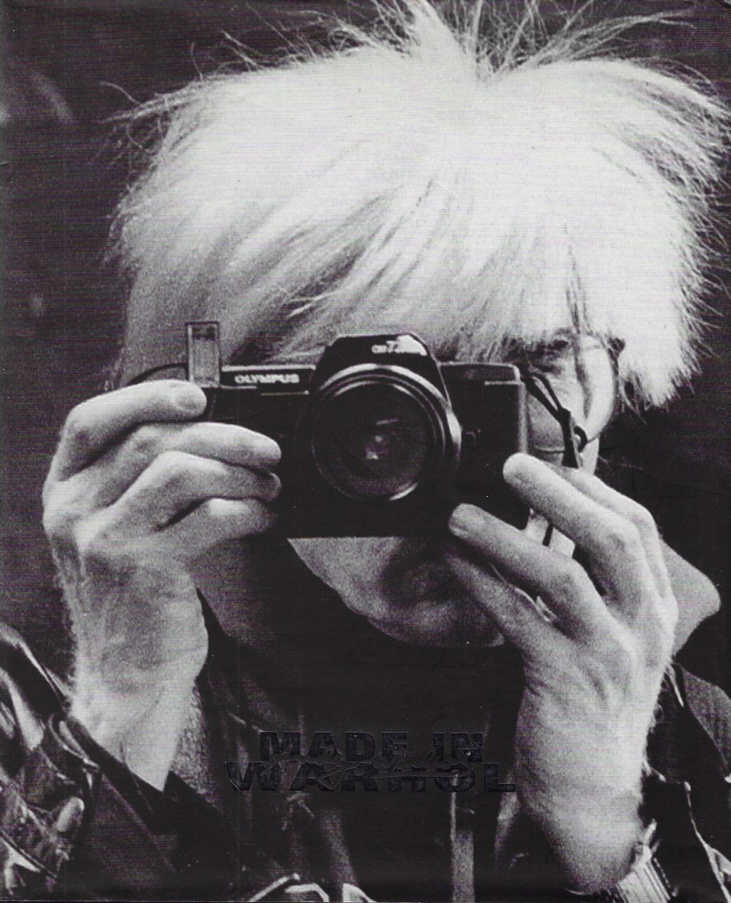 Made in Warhol : Città di Arona, Villa Ponti, 14 …