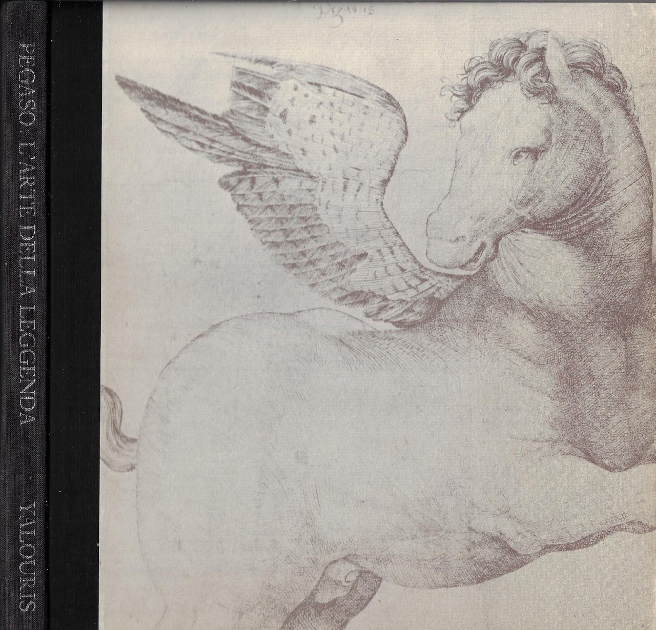 Pegaso : l' arte della leggenda