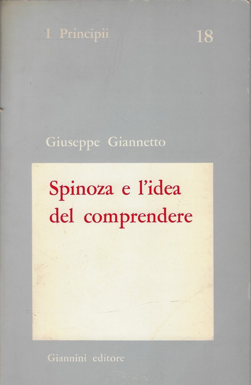 Spinoza e l'idea del comprendere