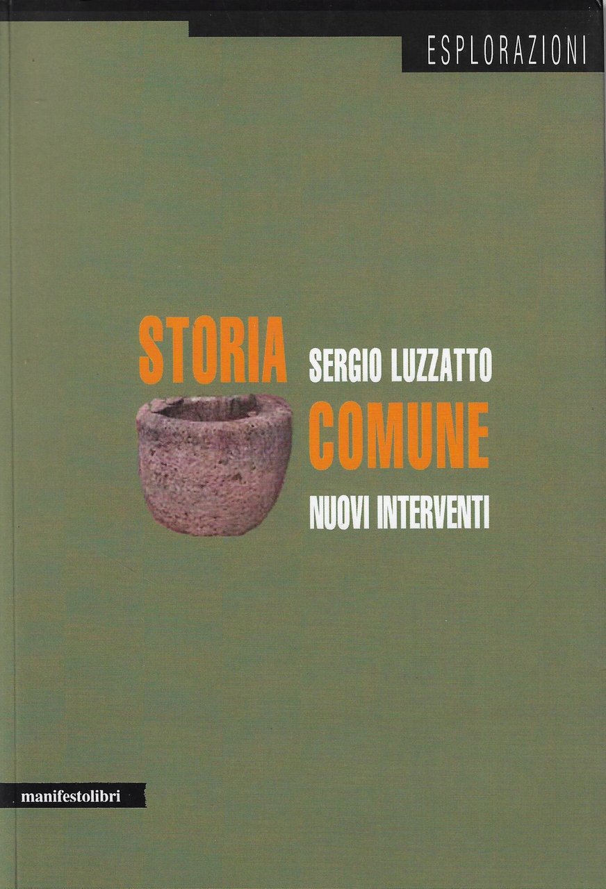 Storia comune. Nuovi interventi