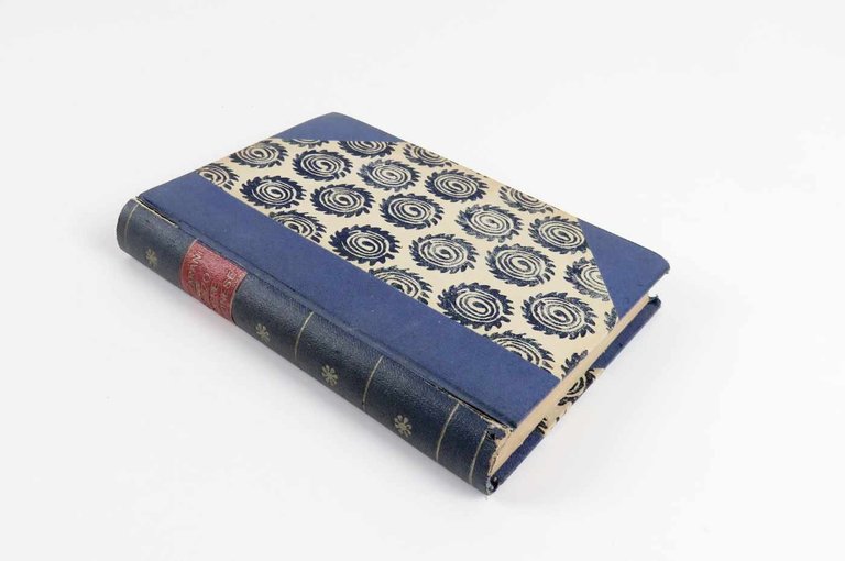 Canzoniere veronese. Con ritratto dell’autore ed illustrazioni di Giorgio Belloni …