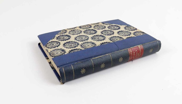 Canzoniere veronese. Con ritratto dell’autore ed illustrazioni di Giorgio Belloni …