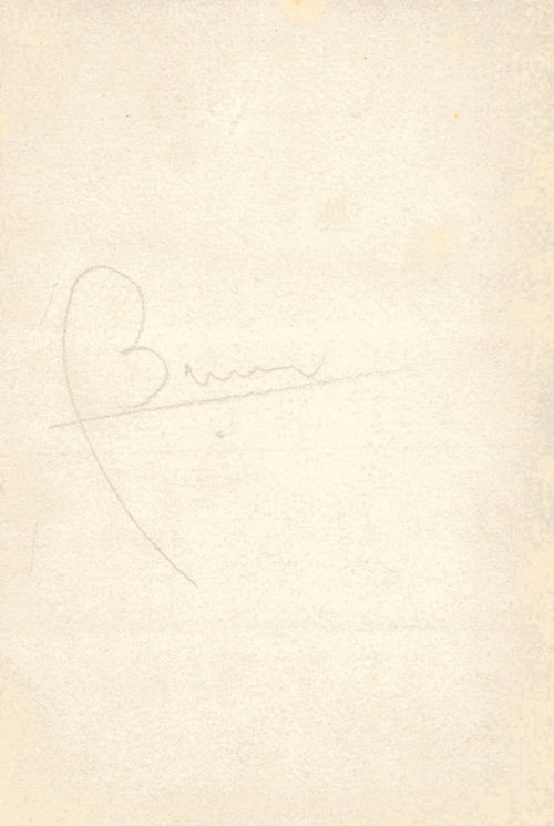 «Concorso di bellezza» | Immagine Gallery 2
