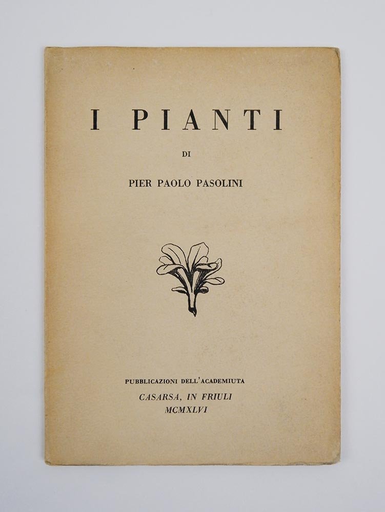 I pianti | Immagine principale