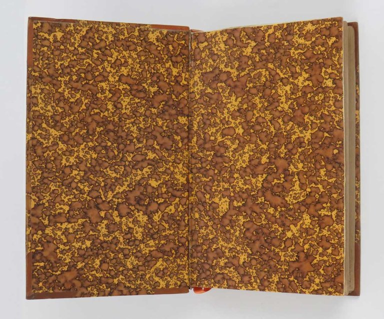 I vinti. I Malavoglia. Romanzo di G. Verga